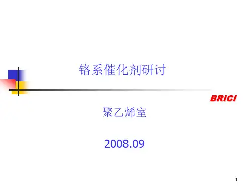 铬系催化剂研究的报告(2008年9月)