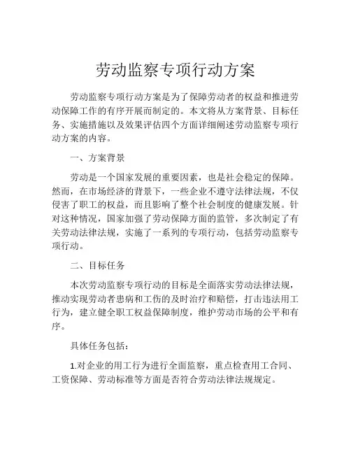 劳动监察专项行动方案