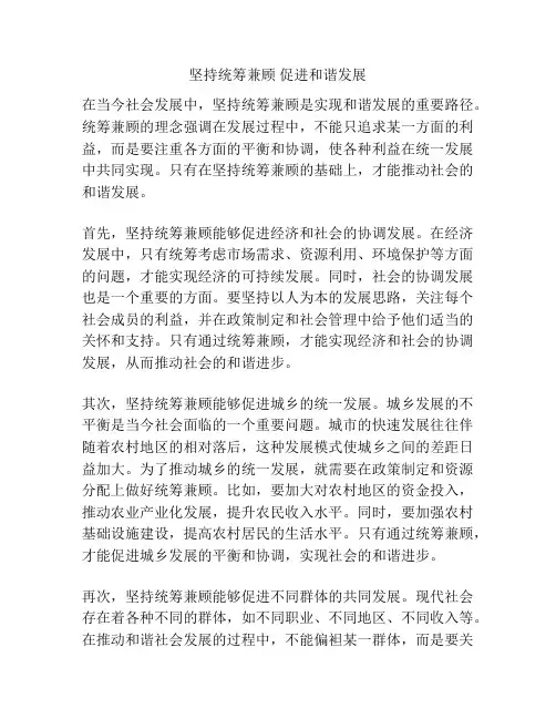 坚持统筹兼顾 促进和谐发展