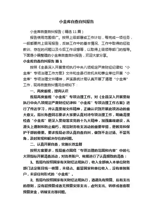 小金库自查自纠报告