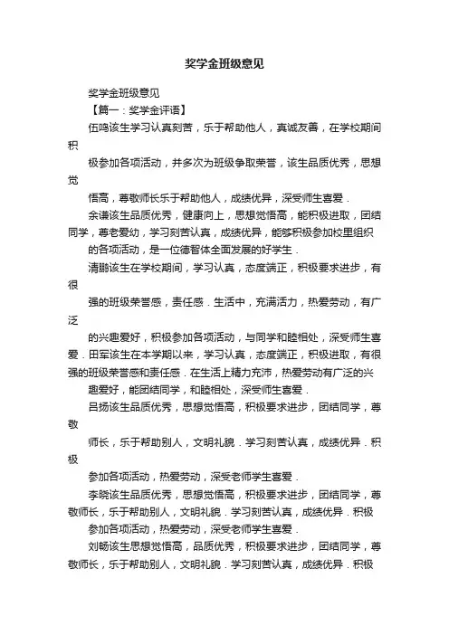 奖学金班级意见