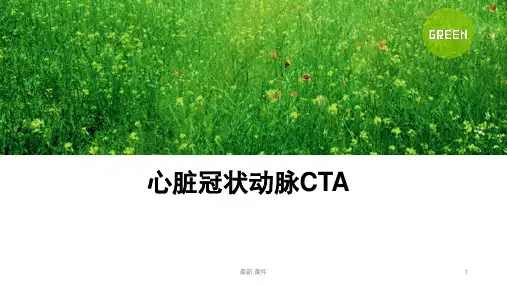 心脏冠脉CTA最终版.ppt