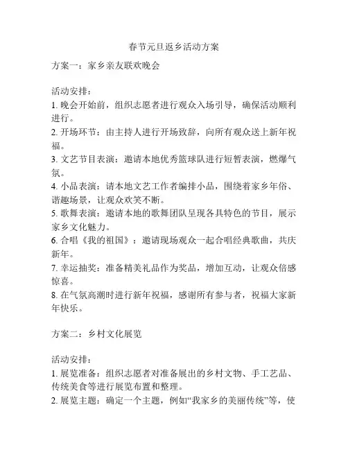 春节元旦返乡活动方案