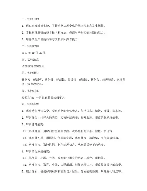 兽医病理解剖实验报告