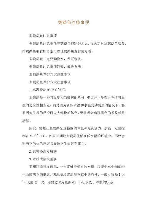 鹦鹉鱼养殖事项