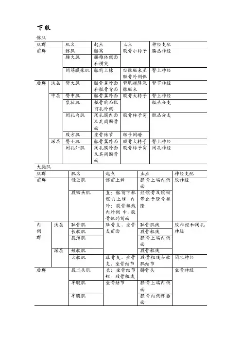 【2017年整理】下肢肌肉关节韧带及神经支配