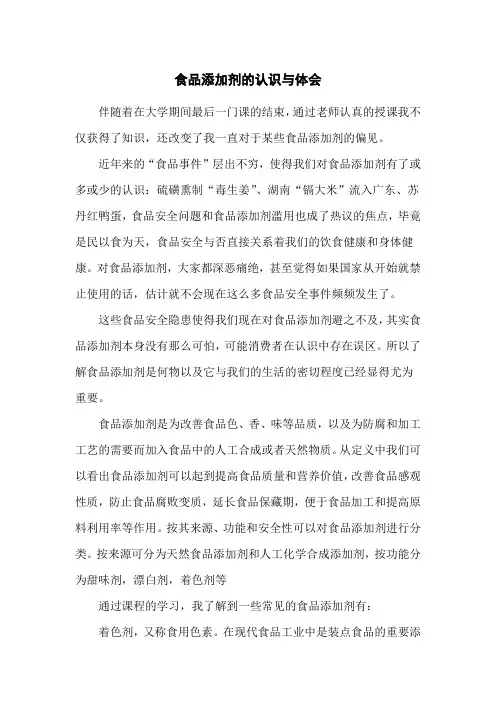 公选课论文食品添加剂