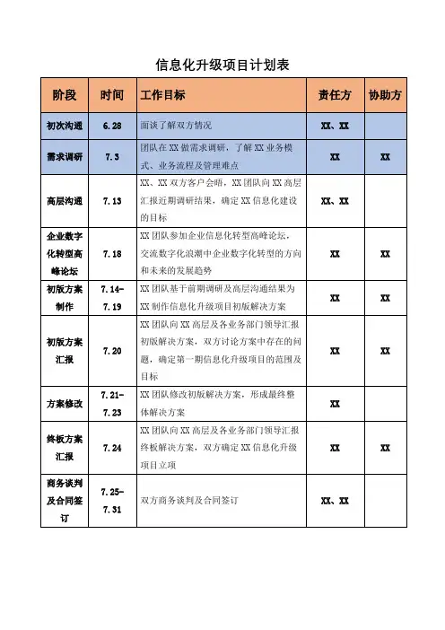 信息化项目计划表