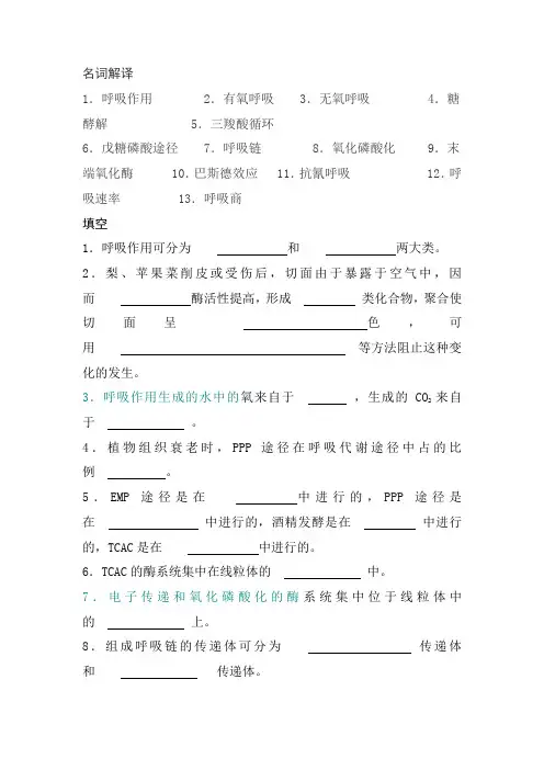 第五章2 呼吸