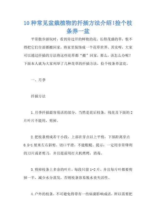10种常见盆栽植物的扦插方法介绍!捡个枝条养一盆