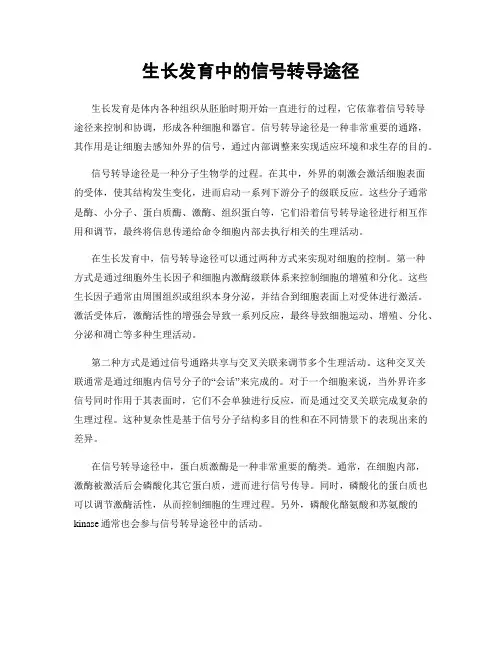 生长发育中的信号转导途径