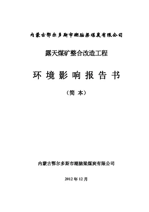 (简 本) - 鄂尔多斯市煤炭局