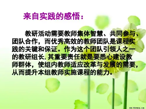 如何打造高效教研团队(ppt 30页)