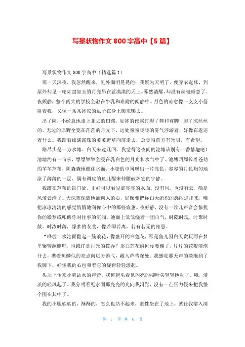 写景状物作文800字高中【5篇】