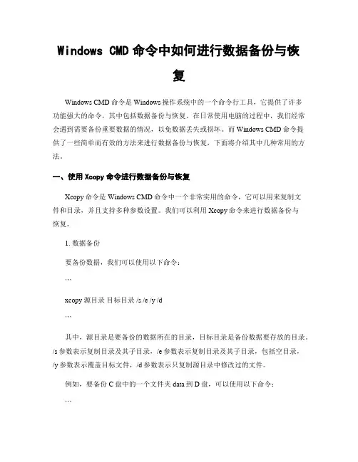Windows CMD命令中如何进行数据备份与恢复