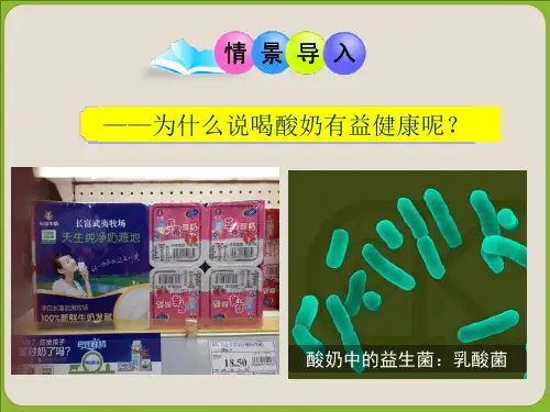 北师大版八年级生物上册第18章第1节微生物在生物圈中的作用(共56张PPT)