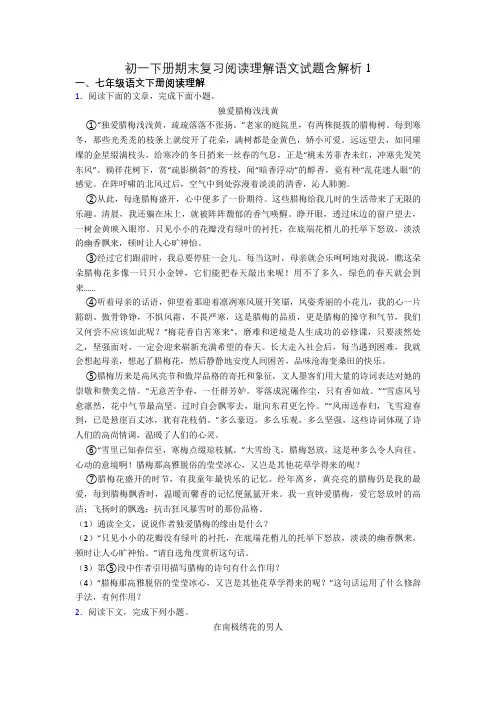 初一下册期末复习阅读理解语文试题含解析1