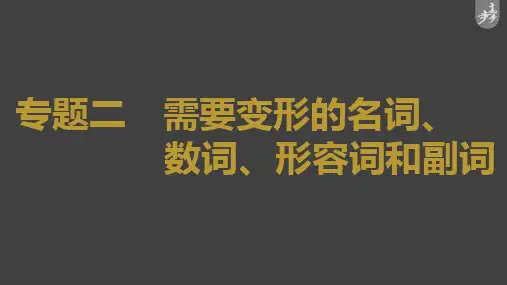 2023年高考英语一轮复习课件 语法专题  需要变形的名词、数词、形容词和副词
