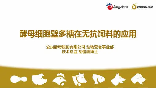 安琪酵母-酵母细胞壁多糖在无抗饲料的应用