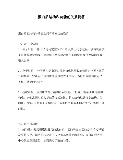 蛋白质结构和功能的关系简答