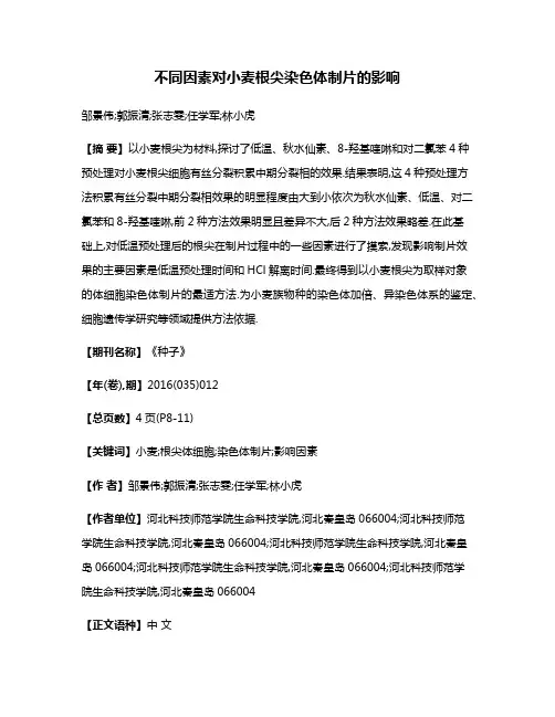 不同因素对小麦根尖染色体制片的影响