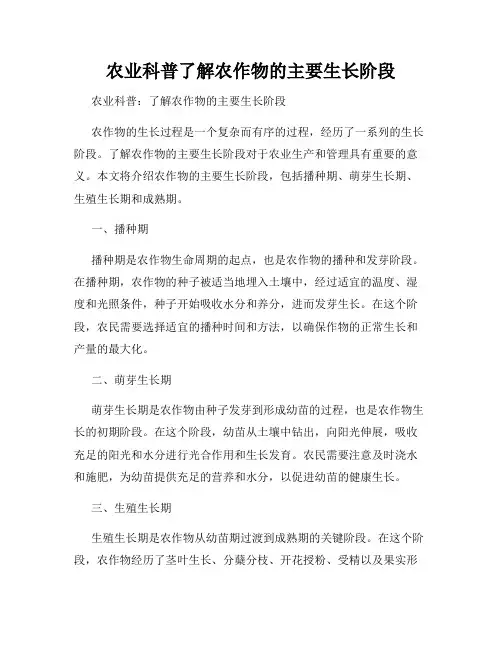 农业科普了解农作物的主要生长阶段