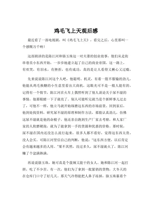 鸡毛飞上天观后感