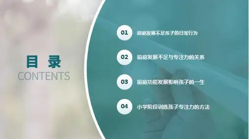 感觉统合训练----前庭篇