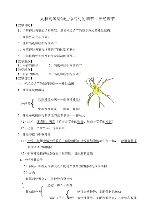 高中生物人和高等动物生命活动的调节 神经调节教案 人教版 必修1
