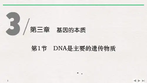 《DNA是主要的遗传物质》基因的本质PPT