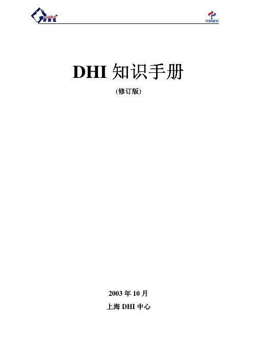 DHI知识手册