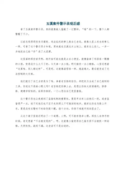 玉溪案件警示录观后感