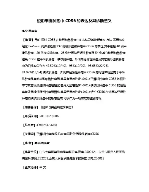 梭形细胞肿瘤中CD56的表达及其诊断意义