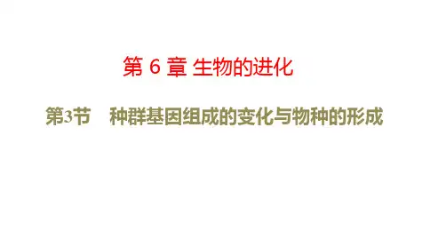 人教版生物必修2教学设计：第6章 生物的进化 第3节 种群基因组成的变化与物种的形成