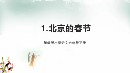 六年级语文下册《1.北京的春节》复习课件(课文要点)统编版