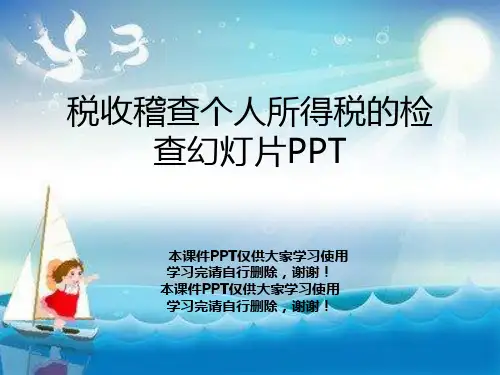 税收稽查个人所得税的检查幻灯片PPT