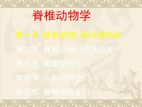 脊椎动物学课程简介课件