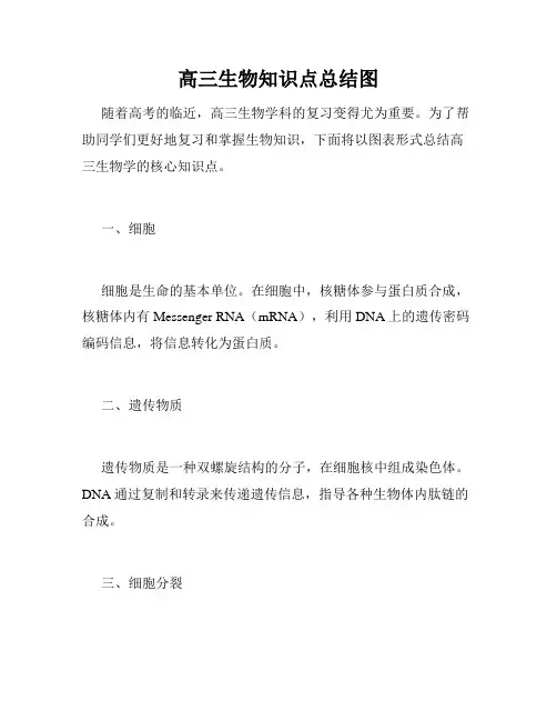 高三生物知识点总结图