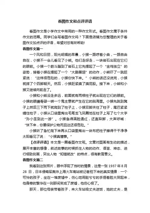 看图作文和点评评语