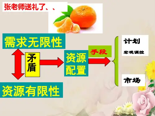 人教版高中政治必修一9.1市场配置资源(共15张PPT)