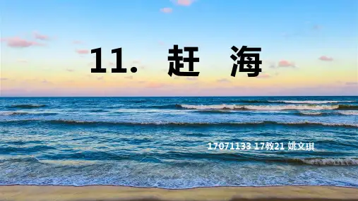 《赶海》课件