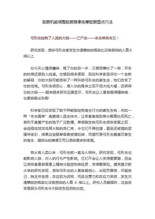 脏腑机能调整脏腑推拿按摩脏腑图点穴法
