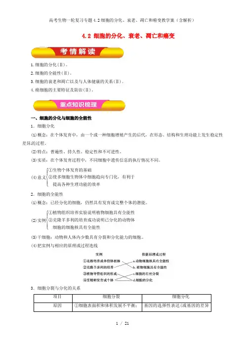 高考生物一轮复习专题4.2细胞的分化、衰老、凋亡和癌变教学案(含解析)