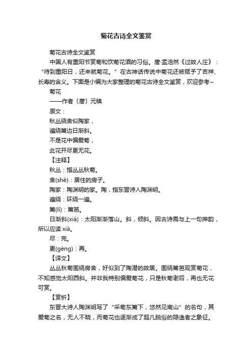 菊花古诗全文鉴赏