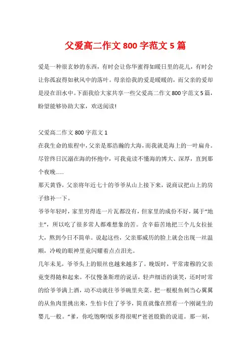 父爱高二作文800字范文5篇