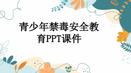 青少年禁毒安全教育PPT课件