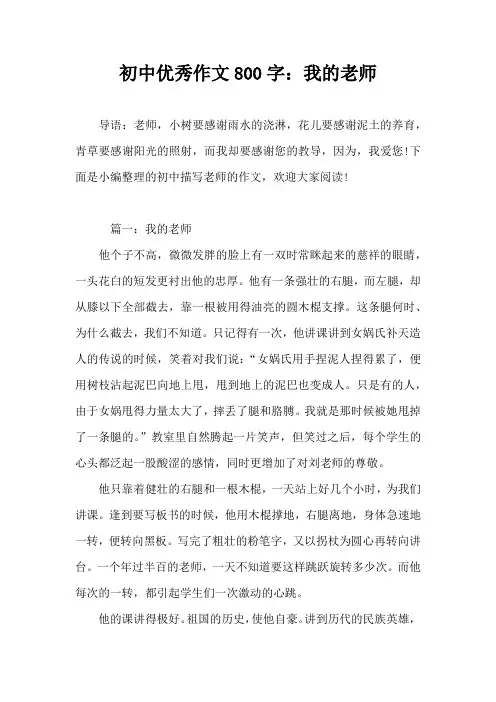 初中优秀作文800字：我的老师