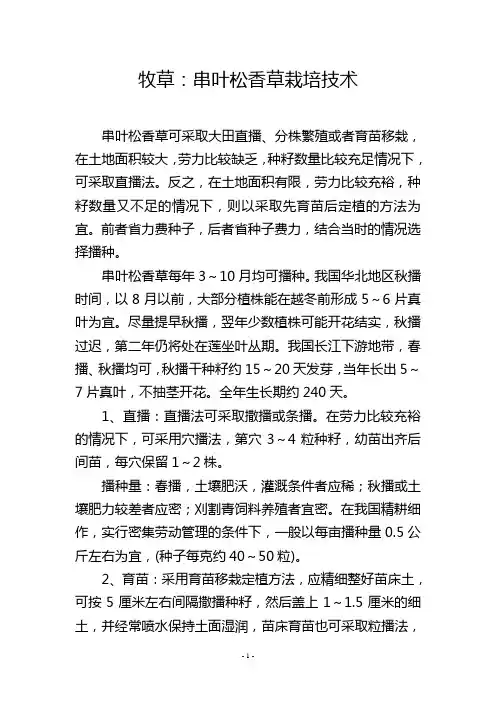 牧草：串叶松香草栽培技术