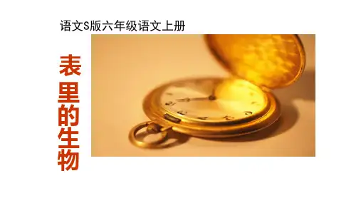 六年级上册语文课件22.表里的生物｜语文S版 (共14张PPT)