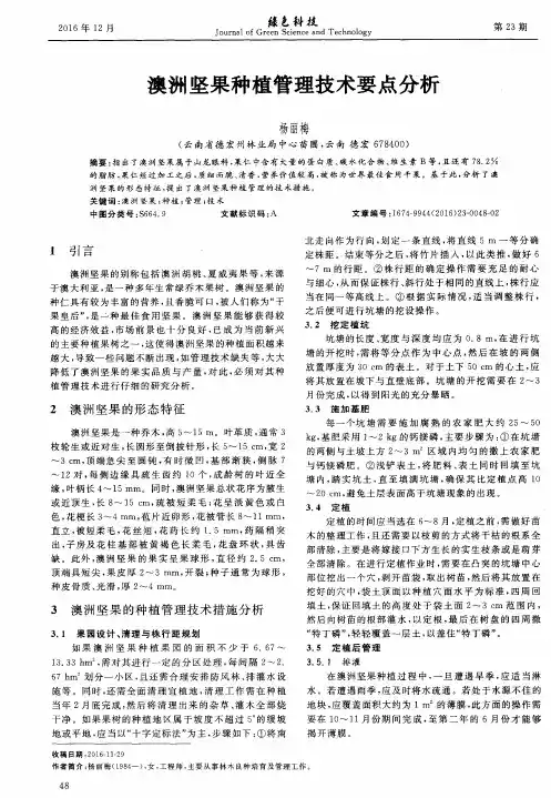 澳洲坚果种植管理技术要点分析